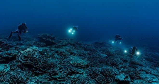 Décolonisation&nbsp;: l’histoire inachevée des derniers peuples sous tutelle
