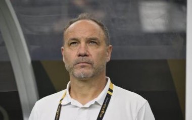 Panthères du Gabon&nbsp;: Migné et son adjoint toucheront 21,75 millions de FCFA par mois
