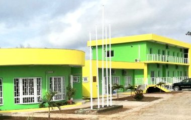 Panthères du Gabon&nbsp;: Plus de 600 candidatures enregistrées pour l’après Mouyouma
